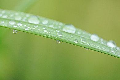 《Touko in Underland》Steam上线 唯美2D横版动作